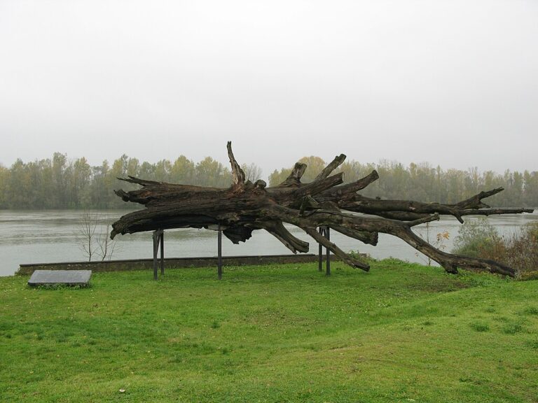 Komemoracija u Donjoj Gradini: Od poziva na pomirenje do kamena razdora u BiH