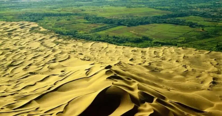 Kina je zasadila toliko drveća da je promijenila raspodjelu vode u cijeloj zemlji