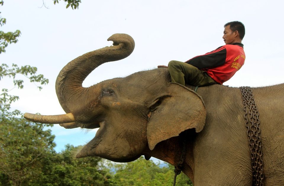 turisticko jahanje slonova