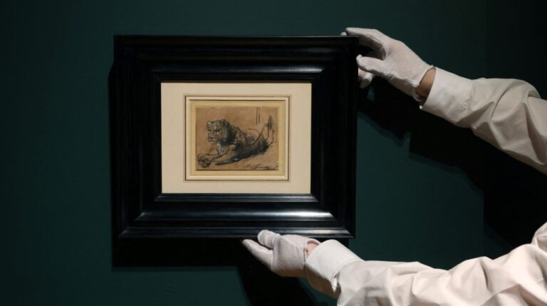 Rembrandtov crtež prodat za 17,8 miliona dolara, novac ide za očuvanje divljih mačaka