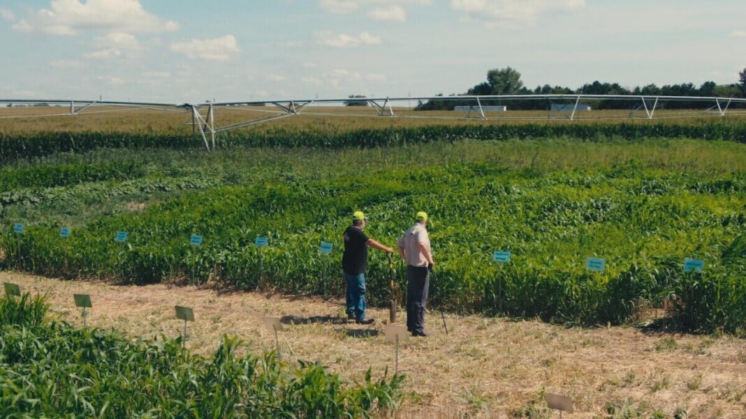 Film “Ono čemu pripadamo”