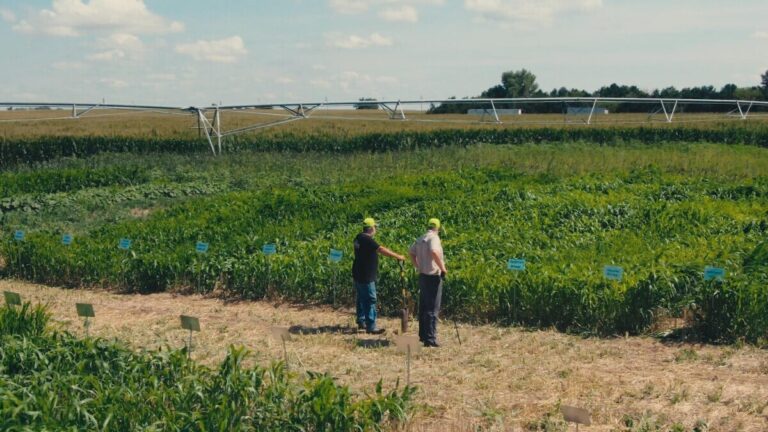 Film “Ono čemu pripadamo”