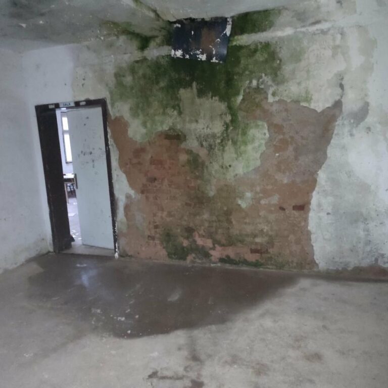 Biograd Osnovna škola Impuls