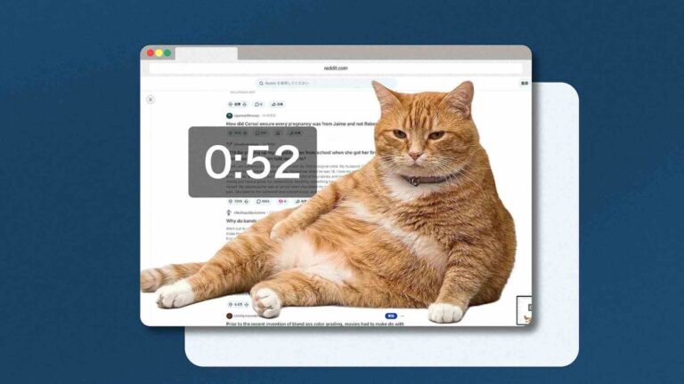 Cat Gatekeeper Chrome