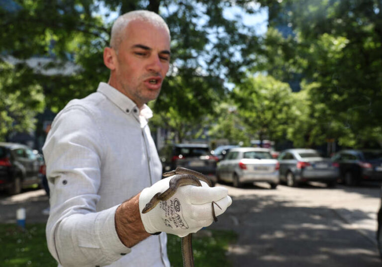 Goran Šukalo stručnjak za zmije Ringier