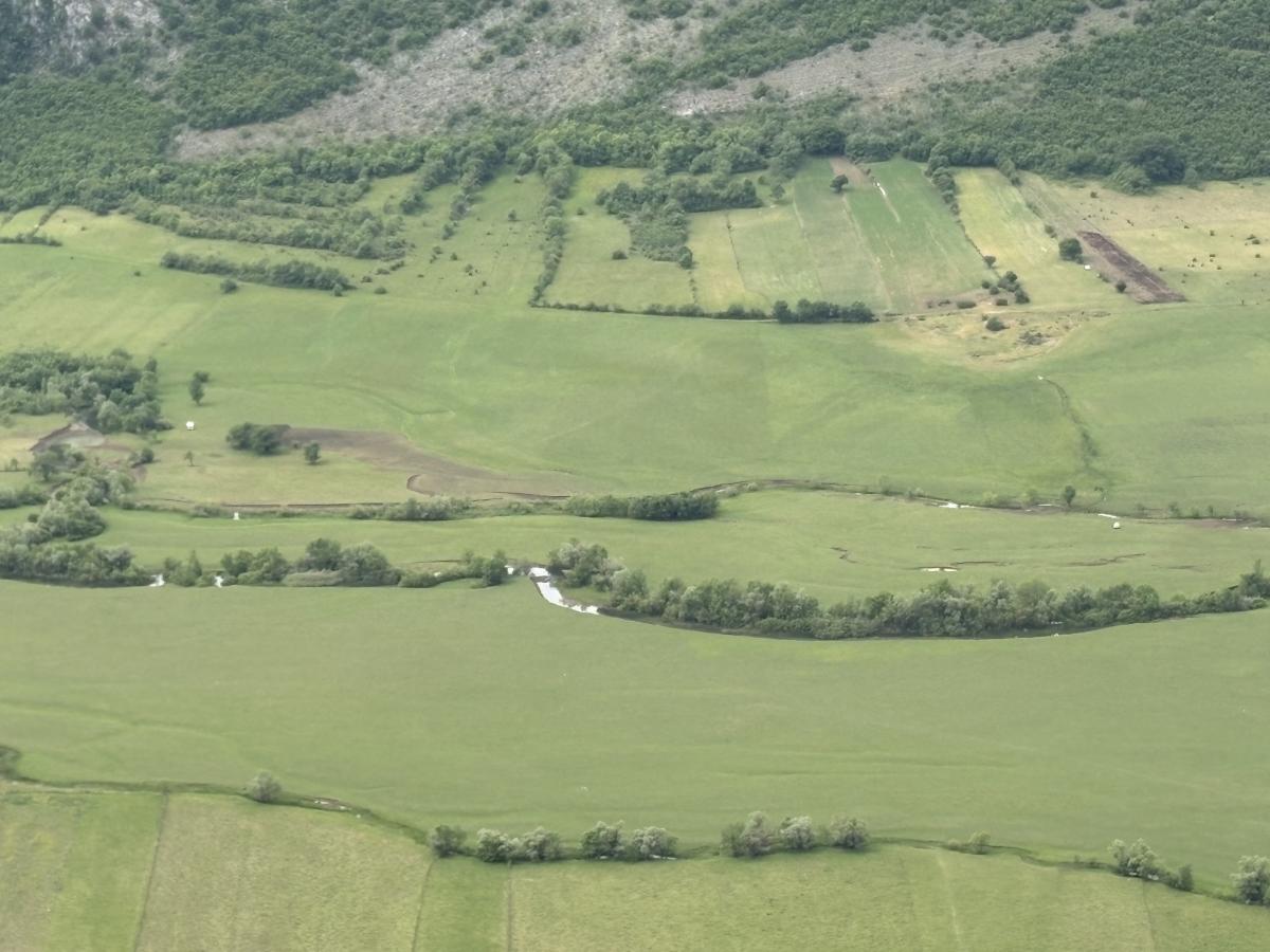 dabarsko polje