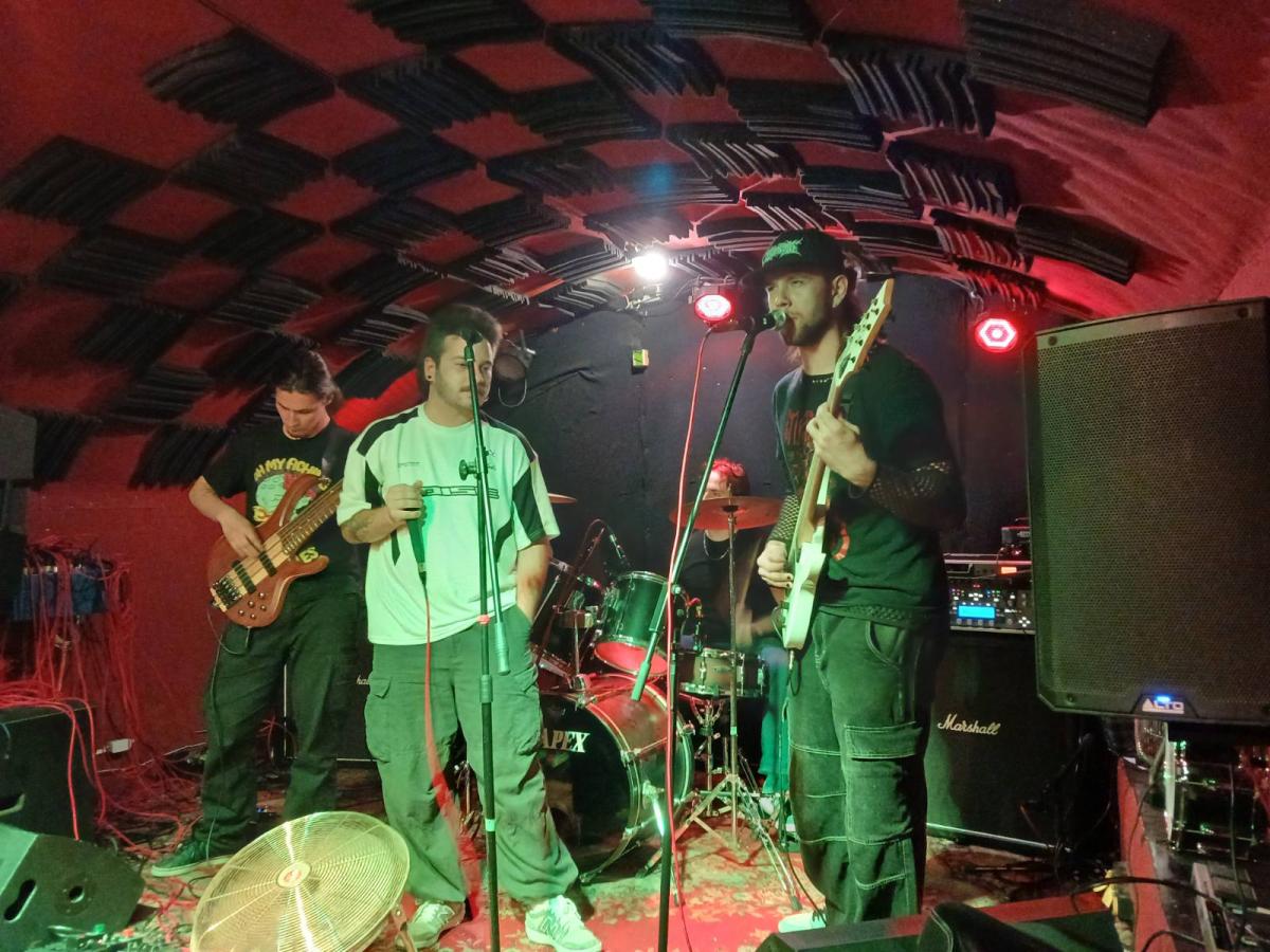 koncert