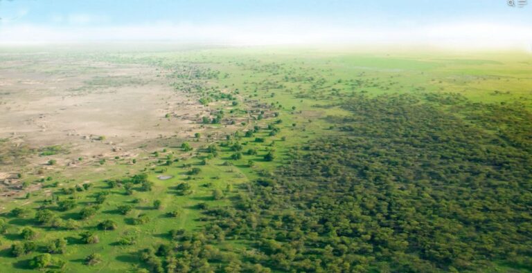 Afrika, veliki zeleni zid projekat
