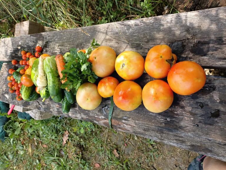 Biodinamička poljoprivreda
