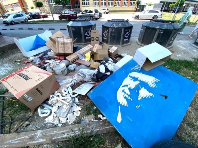 Otišla teška industrija: Izgradićemo fabriku čipova ili ćupova… isti đavo
