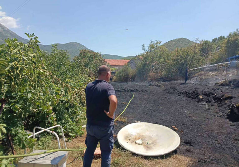 Požari Trebinje Srna