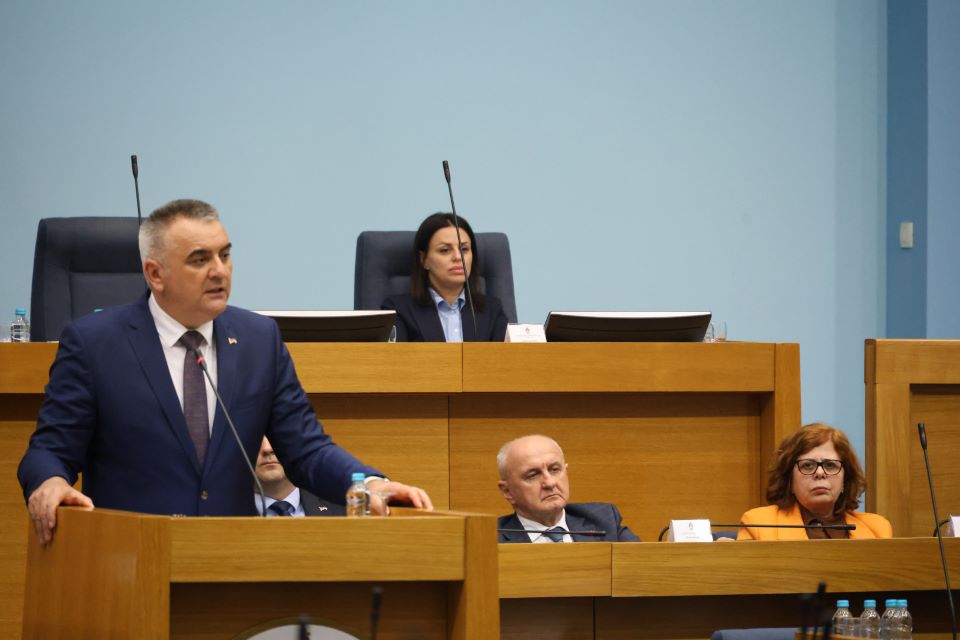 Savo Minić Srna