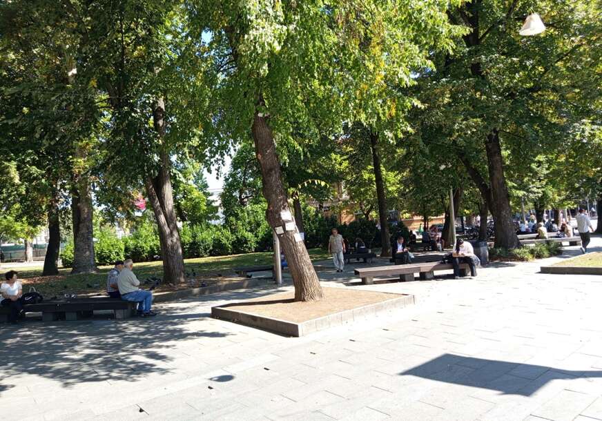 Park Petar Kočić Ringier