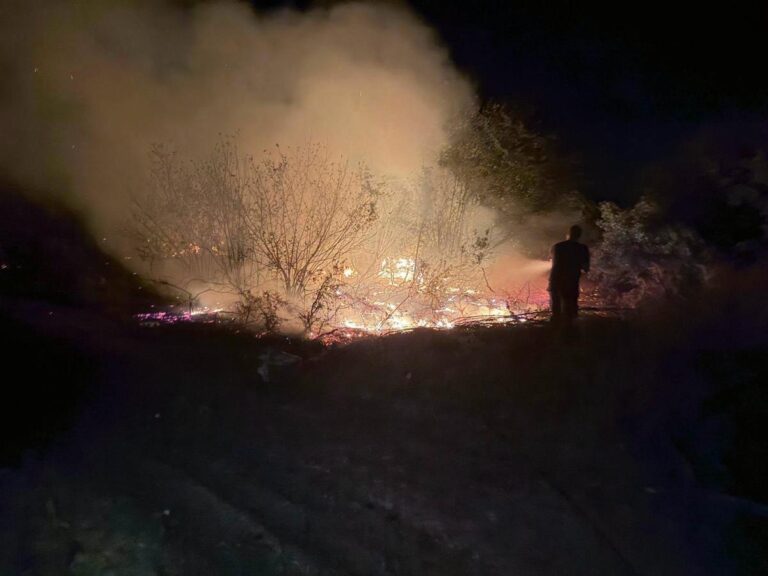 Vatrogasci od vikenda na terenu, gase požar u Gornjoj Piskavici
