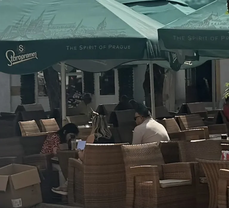 Ko prikuplja podatke birača iz RS za izbore u Srbiji?